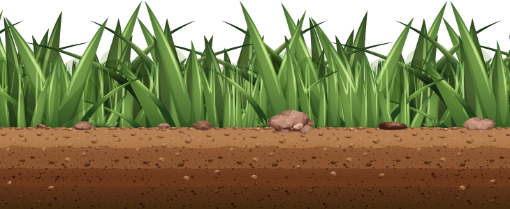landscaper-our-experience-background